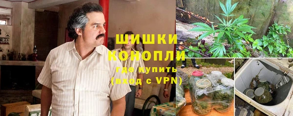 стафф Козловка