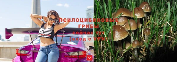 мяу мяу мука Козельск