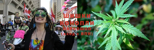 стафф Козловка