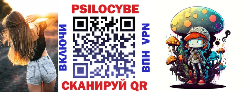 Купить где  Сергач  Псилоцибиновые грибы Psilocybe 